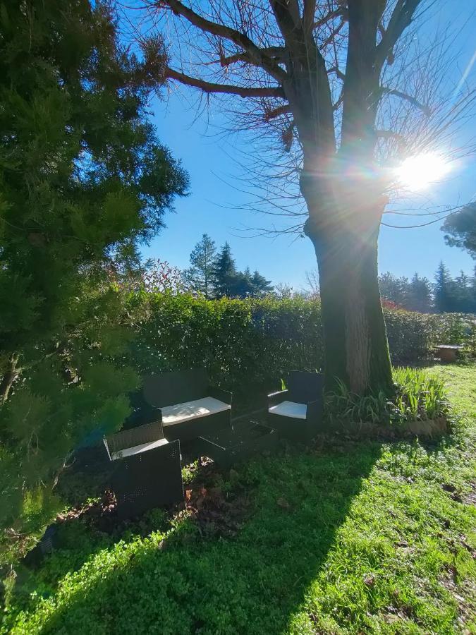 Il Tiglio B&B Dozza Zewnętrze zdjęcie